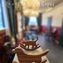 루원 센트럴 동물의료센터 | 인천 가정동 동물병원 루원 센트럴 동물의료센터 진료시간 접근성 이용후기