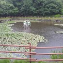 상당1리(보덕) 이미지