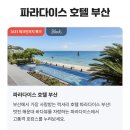 노을3(신관) | 파라다이스 호텔 부산 신관 조식 수영장 특가 예약 방법