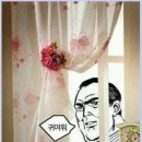 야옹아 멍멍해봐 아산점 이미지