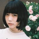 아노 이미지