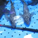 가락시장역6번출입구 이미지