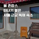 양동농협주유소 | [숙소 리뷰] 봄 촌캉스 떠나기 좋은 서울 근교 독채 숙소 양평 숙소 추천 친구 모임 커플 데이트 주말...