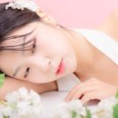 틸문 이미지
