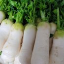 진이농원