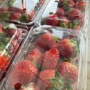 신중농장 이미지