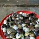 이가네펜션 이미지