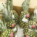 동상건강원 이미지