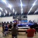 참피온복싱 이미지