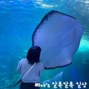 아쿠아플라넷 제주 이미지