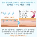 세이프라인 이미지