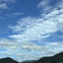 더숲캠핑장 | 춘천 파쇄석 프라이빗한캠핑장 더숲캠핑장 C사이트 후기(+김레텐트 러그,스노우피크팩,망치)