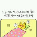 뚠뚜니네 이미지