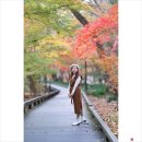 11월20일(목) 선운사 단풍 이미지