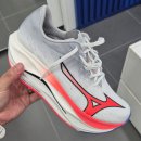 어 웨이브 A | 기록 단축 카본화급 추진력의 비밀 미즈노 리벨리온 플래쉬3 10km 후기