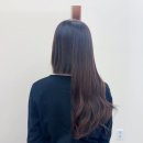제와이붙임머리