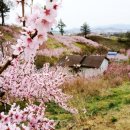 유정농원 이미지