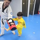 한사랑유아체육태권도 | 대전 서구 관저동 유아 태권도, 상담 오면 꼭 나오는 질문 5가지 | 강호해솔태권도