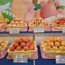 도화산장 이미지