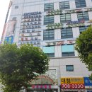 분당/야탑 헤더플로리스트학원 : 내일배움카드 플로리스트 실무과정-Day.1(돔센터피스)
