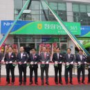 율리영해로 이미지