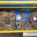 지훈이네식당 이미지