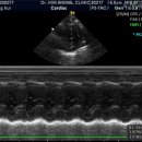 콩닥 동물병원 이미지