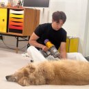 씨앤블루 이미지