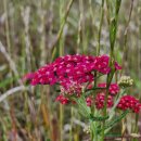 베스트부동산중개 이미지