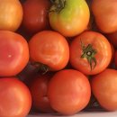 혜원상회 이미지