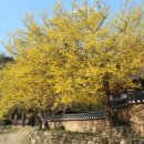 남도삼백리길(2코스) 이미지