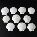 4897 | [소노 SONO] 드레스투어 후기 및 드투관련 이런저런 생각(2026.02)