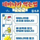 생마차고양
