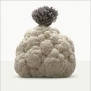 현대야채 이미지