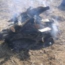 관용농장 이미지