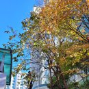 기전경로당 티스토리