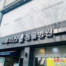 소망 동물병원 이미지