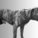 Awesome kennel Daum카페