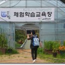 운용농장 이미지