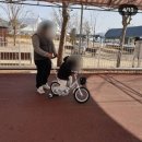 5세 이하 아이들이 좋아할법한 충주 라바랜드