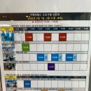 씨월드 | 거제가볼만한곳 거제씨월드 여행 후기