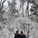 가보세흑돼지