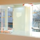 서울애견미용실 이미지