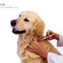 미리내동물병원 이미지