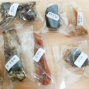 요리하는 집사 이미지