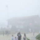 현대카하우스 | 리조트 탑 카페, 비오는날 운탄고도 케이블카 타고 구름담은카페 방문해 본 후기. 현대홈쇼핑 패키지 상품.