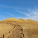 송학동-16 이미지