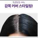 모두헤어 | 새치커버스틱 비교 모두봄 올데이 헤어틴트 후기