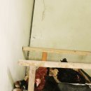 자연속[애]유정란 티스토리