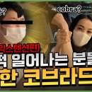 벌떡 일어나는 분들을 위한 코브라드릴 (얼리익스텐션) | EARLY EXTENSION COBRA-DRILL 이미지